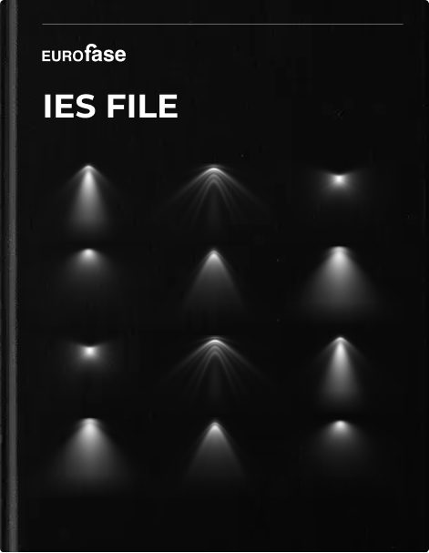 IES File