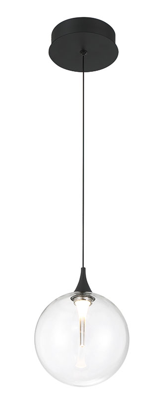 IISSA Matte Black pendant with clear glass globe and refined metal detailing